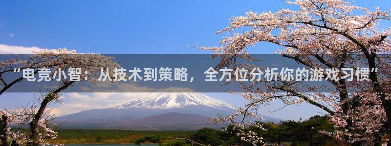 米兰电竞下载：“电竞小智：从技术到策略，全方位分析你的游戏习惯”