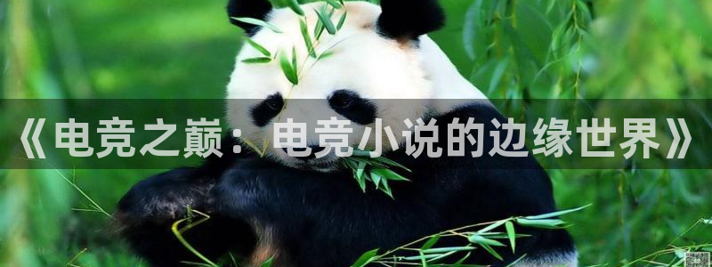 米兰电竞会不会不出款：《电竞之巅：电竞小说的边缘世界》