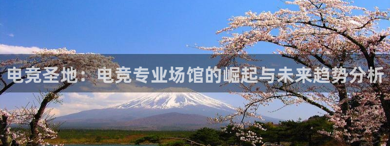 米兰电竞下载：电竞圣地：电竞专业场馆的崛起与未来趋势分析