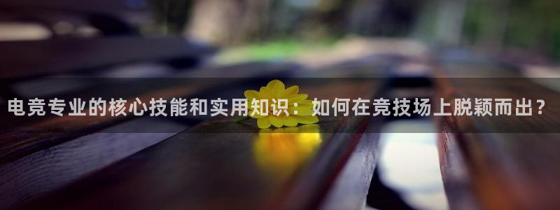 米兰电竞游戏：电竞专业的核心技能和实用知识：如何在竞技场上脱颖而出？