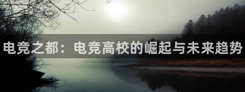米兰电竞官网：电竞之都：电竞高校的崛起与未来趋势