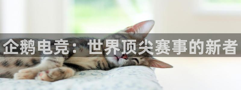 米兰电竞网站：企鹅电竞：世界顶尖赛事的新者