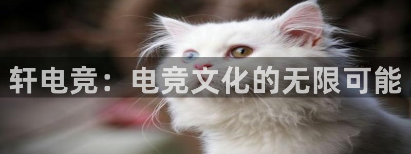 米兰电竞登录入口：轩电竞：电竞文化的无限可能
