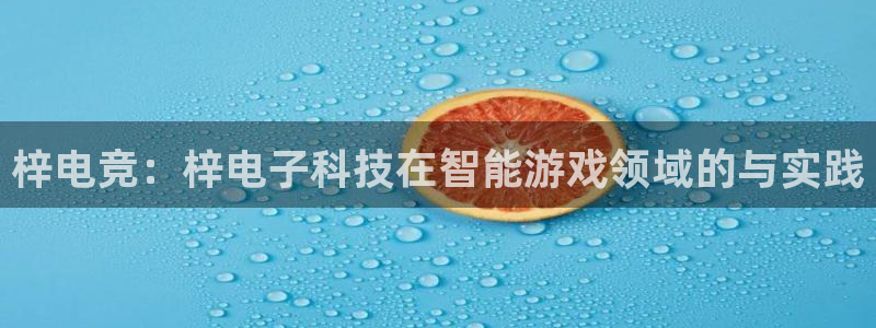 米兰电竞App官方：梓电竞：梓电子科技在智能游戏领域的与实践