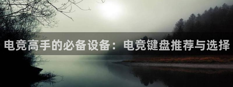 米兰电竞官网下载：电竞高手的必备设备：电竞键盘推荐与选择