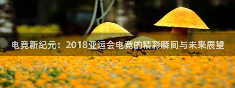 米兰电竞官网：电竞新纪元：2018亚运会电竞的精彩瞬间与未来展望