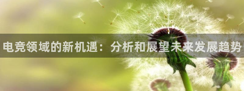 米兰电竞App官方：电竞领域的新机遇：分析和展望未来发展趋势