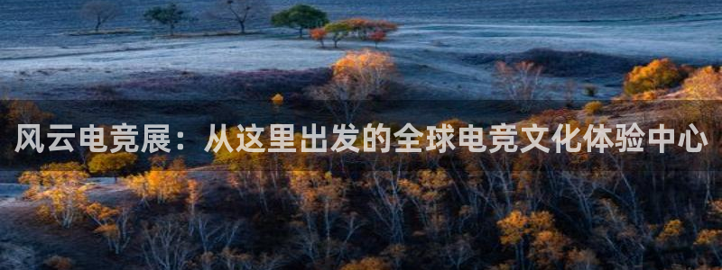 米兰电竞平台官网：风云电竞展：从这里出发的全球电竞文化体验中心