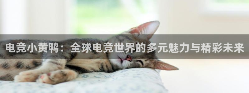 米兰电竞会不会不出款：电竞小黄鸭：全球电竞世界的多元魅力与精彩未来