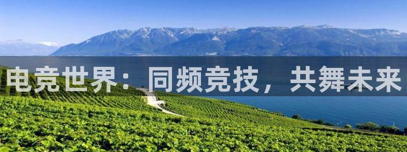 米兰电竞网站：电竞世界：同频竞技，共舞未来