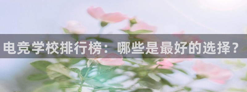 米兰电竞：电竞学校排行榜：哪些是最好的选择？