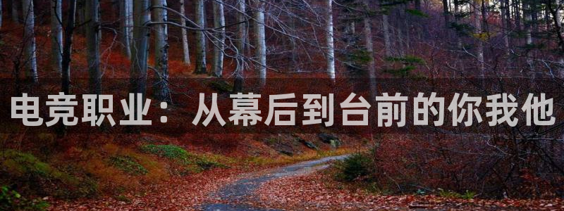 米兰电竞：电竞职业：从幕后到台前的你我他