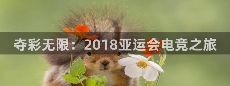 米兰电竞app下载：夺彩无限：2018亚运会电竞之旅