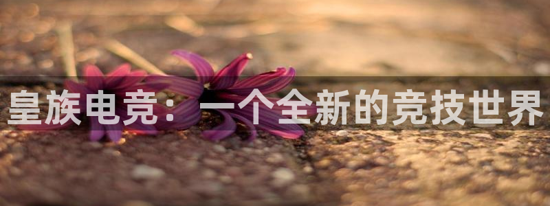 米兰电竞体育：皇族电竞：一个全新的竞技世界