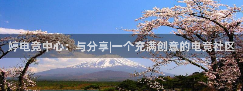 米兰电竞网站：婷电竞中心：与分享|一个充满创意的电竞社区