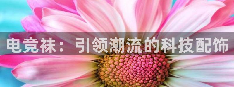 米兰电竞在线：电竞袜：引领潮流的科技配饰