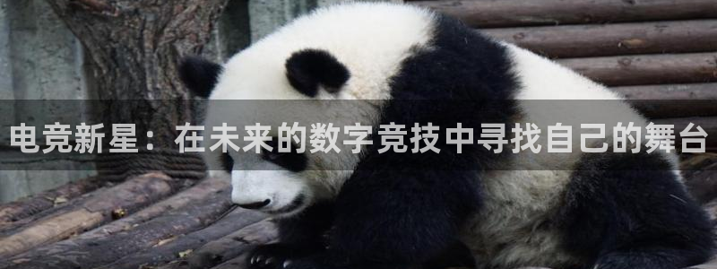 米兰电竞游戏：电竞新星：在未来的数字竞技中寻找自己的舞台