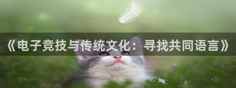 米兰电竞app下载：《电子竞技与传统文化：寻找共同语言》