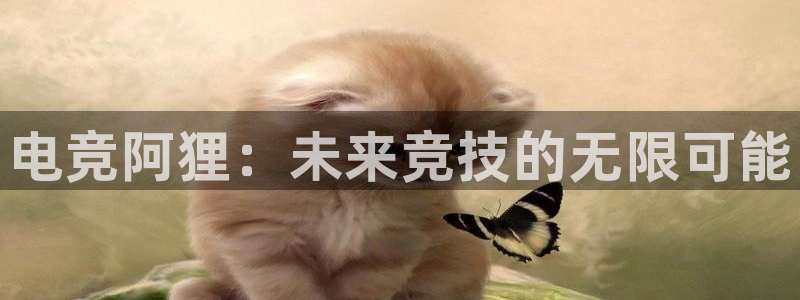 米兰电竞：电竞阿狸：未来竞技的无限可能