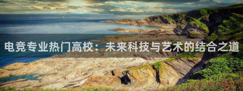 米兰电竞官网：电竞专业热门高校：未来科技与艺术的结合之道