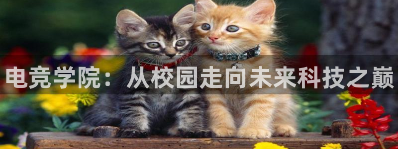 米兰电竞全站：电竞学院：从校园走向未来科技之巅