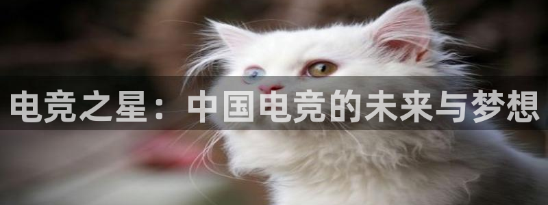 米兰电竞登录入口：电竞之星：中国电竞的未来与梦想