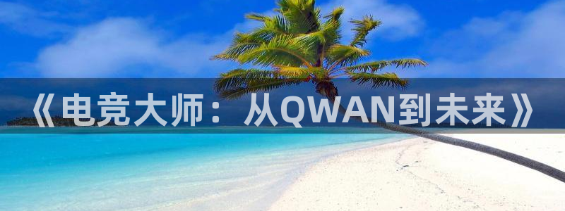 米兰电竞：《电竞大师：从QWAN到未来》