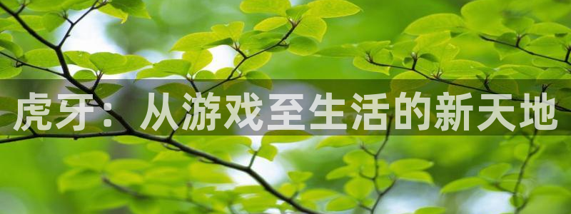 米兰电竞官网下载：虎牙：从游戏至生活的新天地