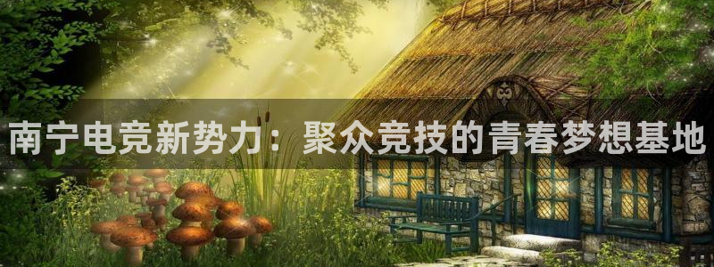 米兰电竞官方网站：南宁电竞新势力：聚众竞技的青春梦想基地