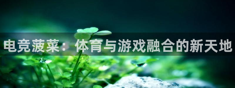 米兰电竞平台官网：电竞菠菜：体育与游戏融合的新天地