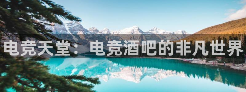米兰电竞官网下载：电竞天堂：电竞酒吧的非凡世界