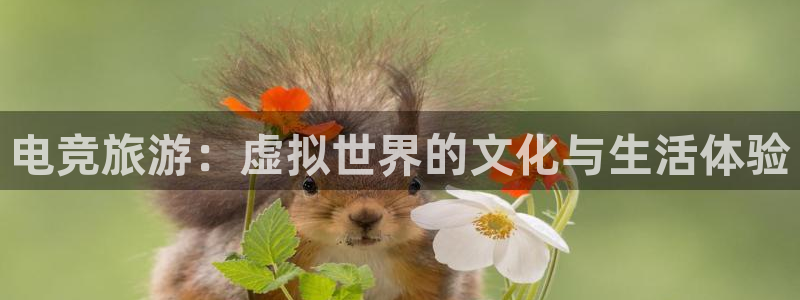 米兰电竞在线官网：电竞旅游：虚拟世界的文化与生活体验