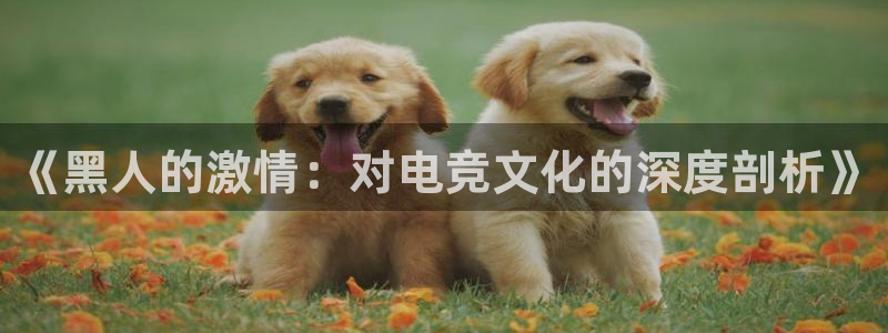 米兰电竞在线官网：《黑人的激情：对电竞文化的深度剖析》