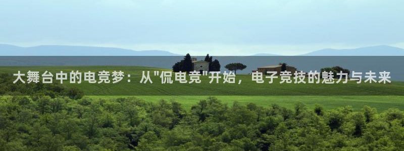 米兰电竞网址：大舞台中的电竞梦：从\