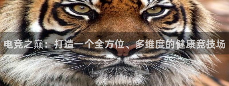 米兰电竞体育：电竞之巅：打造一个全方位、多维度的健康竞技场