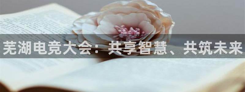 米兰电竞网站：芜湖电竞大会：共享智慧、共筑未来
