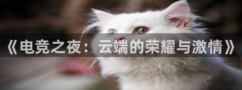 米兰电竞全站：《电竞之夜：云端的荣耀与激情》