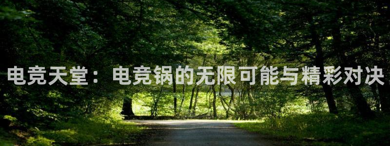 米兰电竞下载：电竞天堂：电竞锅的无限可能与精彩对决